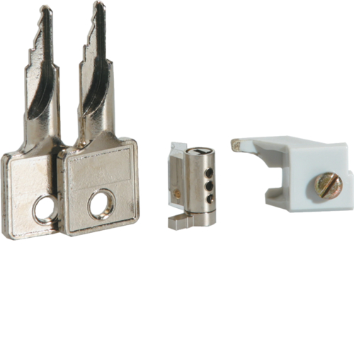 VZ311 Key lock,  vector, 2 keys